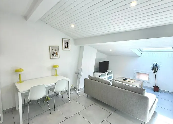 Apartment Lumineux & Spacieux, Neuf, Grand Lit Toulouse